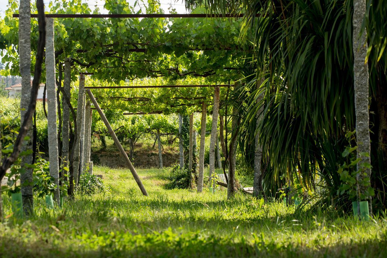 Quinta De Lourosa Guest House Lousada Exterior photo